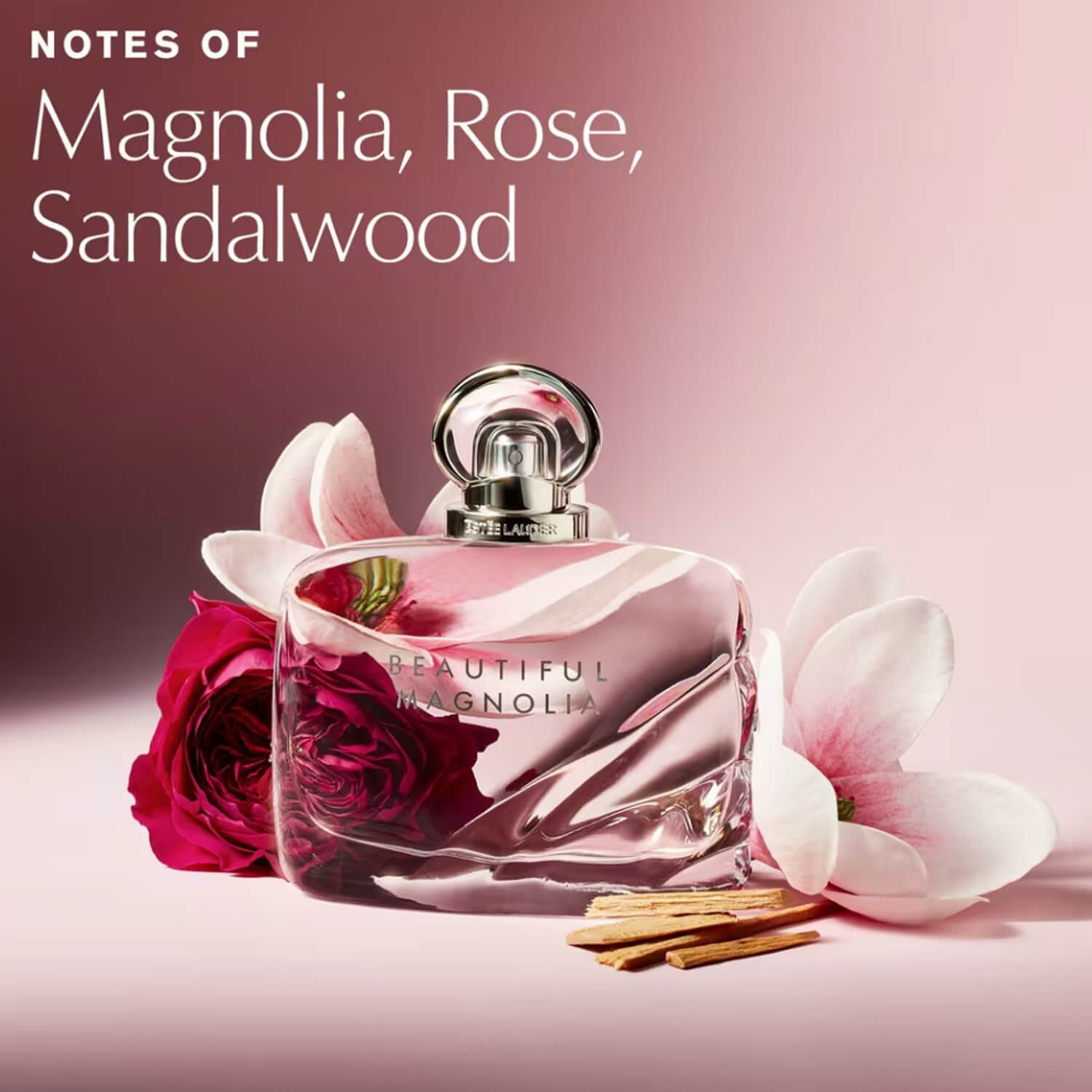 image showing fragrance notes of Estee Lauder Eau de Parfum Beautiful magnolia for her available at Heygirl.pk for delivery in Pakistan