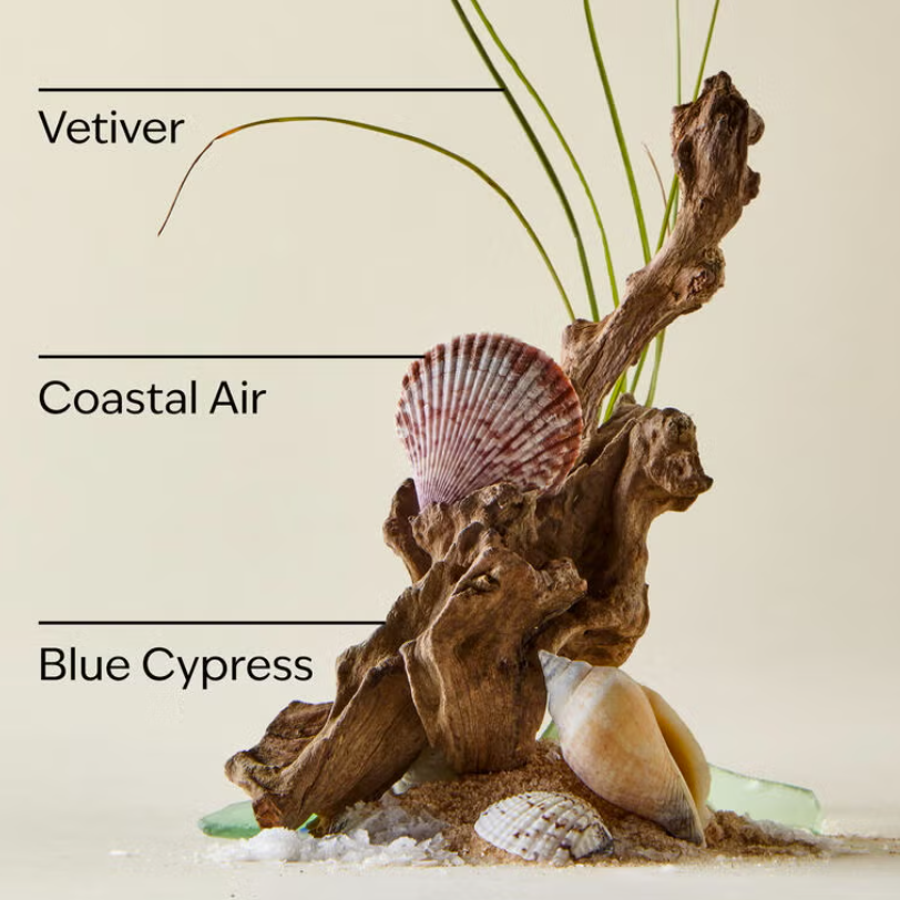 image showing description of bath and body works fragrance ocean including notes of vetiver, coastal air and blue cypress