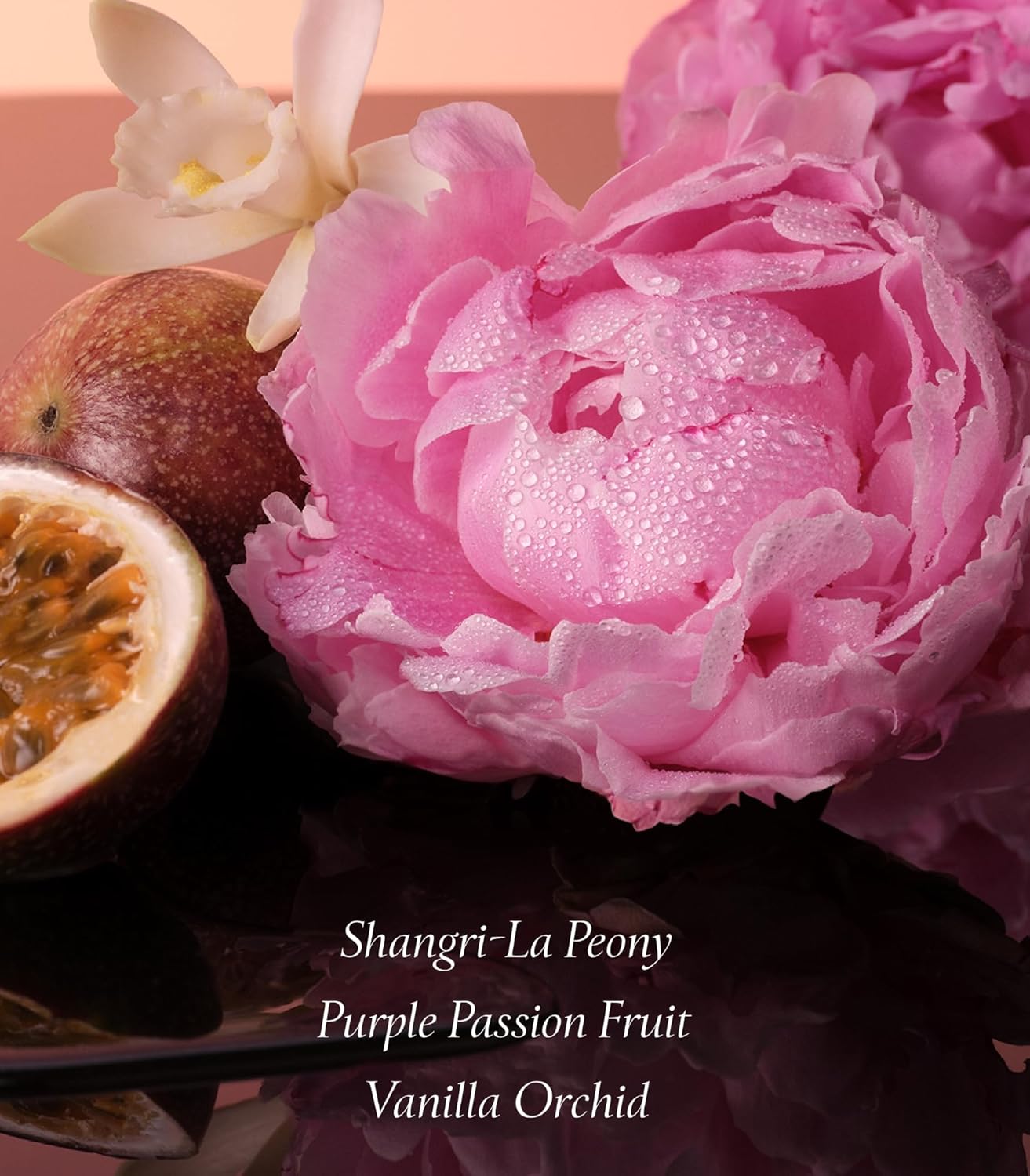 Close-up of a pink peony with passion fruit and vanilla orchid, labeled 'Shangri-La Peony, Purple Passion Fruit, Vanilla Orchid'.