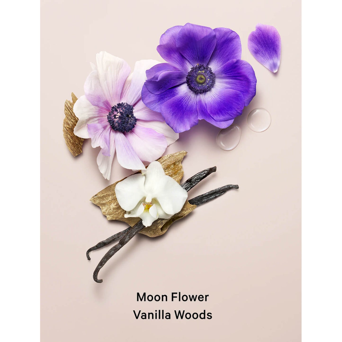Three flowers on a light pink background with 'Moon Flower Vanilla Woods' text.