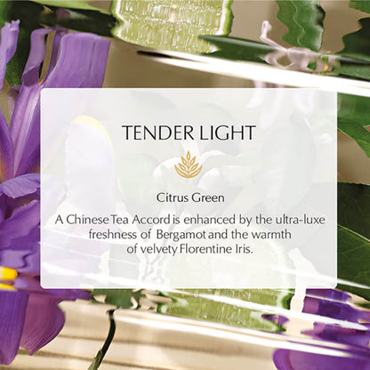 image showing fragrance of Estee Lauder Eau de Parfum Tender Light for her available at Heygirl.pk for cash on delivery in Pakistan