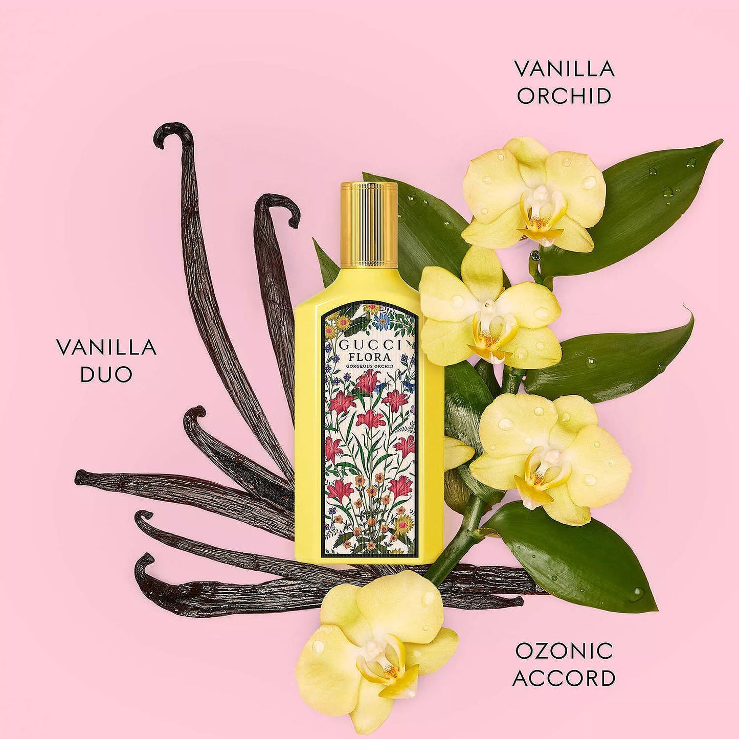 Gucci Flora Vanilla Orchid perfume bottle with vanilla beans and flowers on a pink background