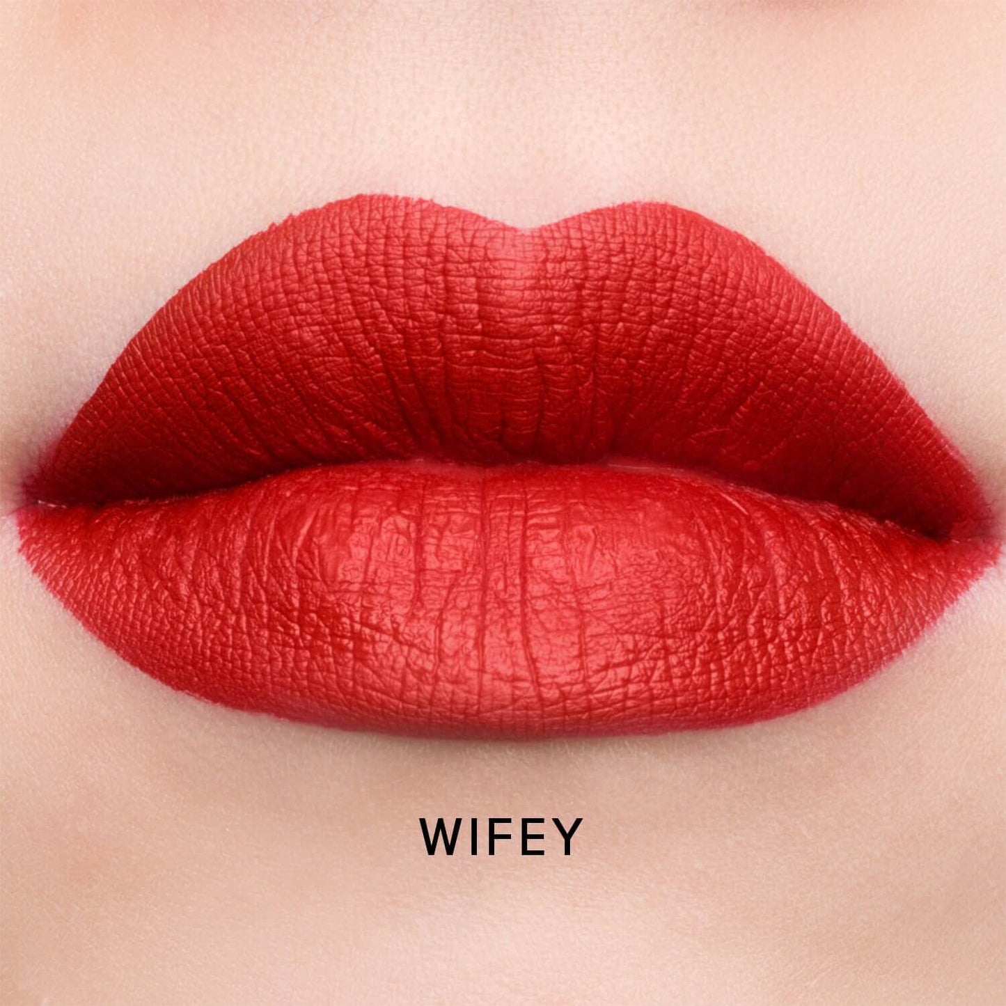 swatch image of Jeffree Velour Liquid Lipstick in wifey shade available at Heygirl.pk for delivery in Karachi, Lahore, Islamabad across Pakistan. 